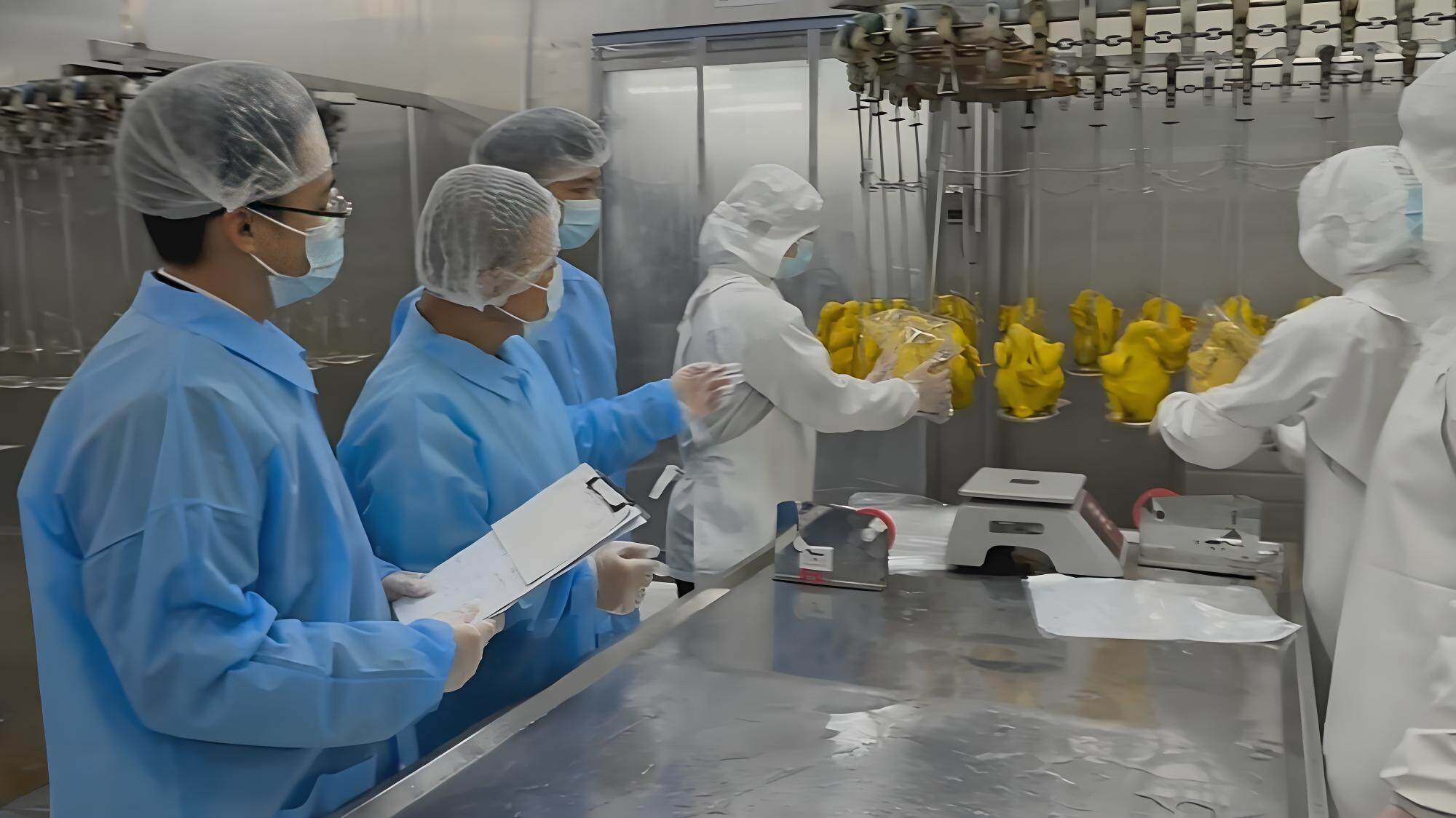 江门冰鲜禽首次出口非洲